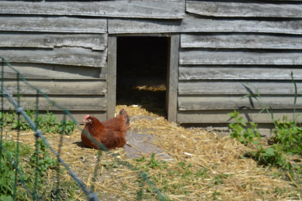 Au Passage Des Grues Drosnay